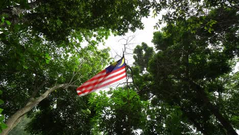 Bandera-De-Malasia-Ondeando-En-Un-árbol-Verde